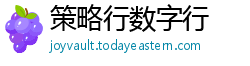 策略行数字行